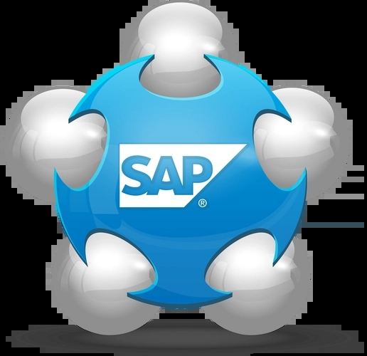 SAP-7.webp.jpg